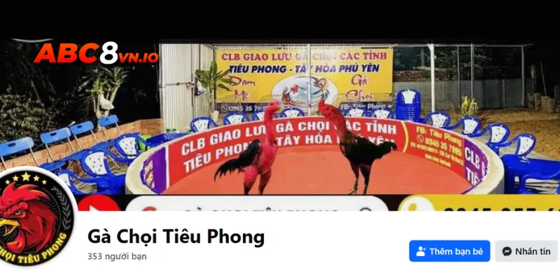 Gà chọi Tiêu Phong - Vần xổ gà trực tiếp 18h30 mỗi ngày Bạn có thể theo dõi trang mạng xã hội của trại gà