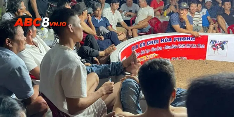 Gà chọi Hòa Phong - Điểm đến yêu thích của sư kê Việt CLB gà chọi hàng đầu khu vực