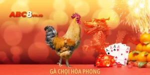Gà Chọi Hòa Phong - Điểm Đến Yêu Thích Của Sư Kê Việt 