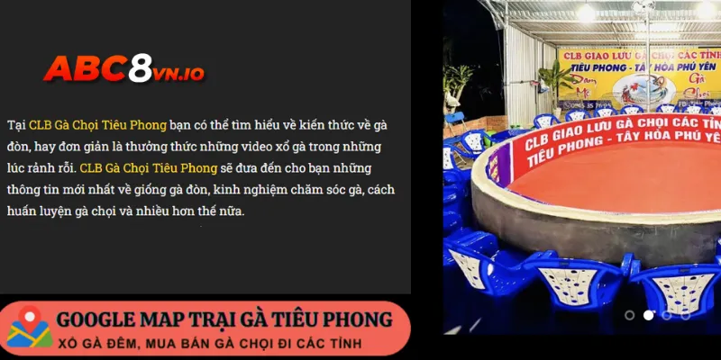 Gà chọi Tiêu Phong - Vần xổ gà trực tiếp 18h30 mỗi ngày Gà chọi Tiêu Phong nhận được sự yêu thích đặc biệt