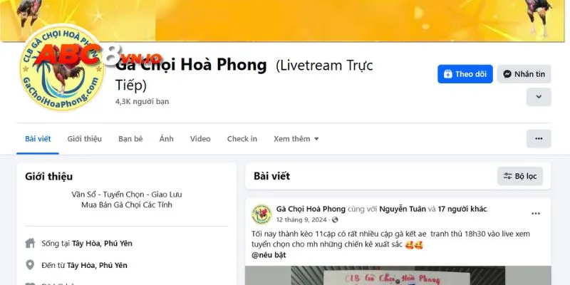 Gà chọi Hòa Phong - Điểm đến yêu thích của sư kê Việt Theo dõi trang mạng xã hội chính thức của gà chọi Hòa Phong