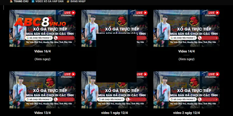 Gà chọi Tiêu Phong - Vần xổ gà trực tiếp 18h30 mỗi ngày Theo dõi video xổ gà hấp dẫn hoàn toàn miễn phí